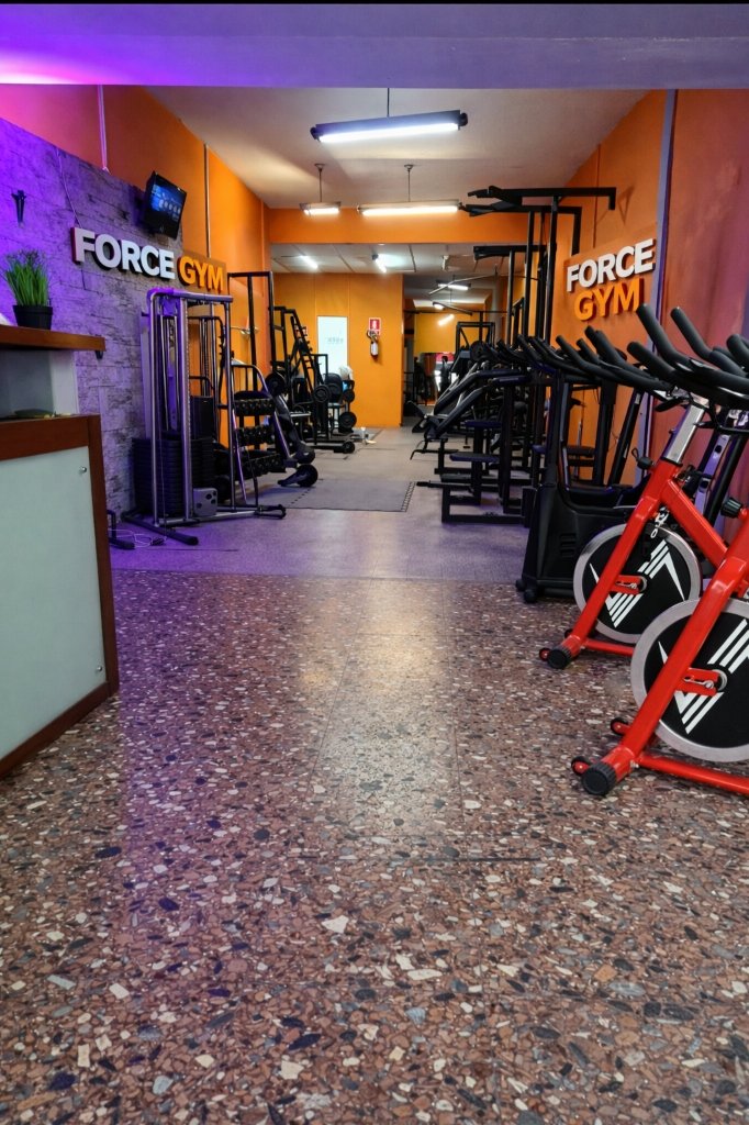 ForceGym Training