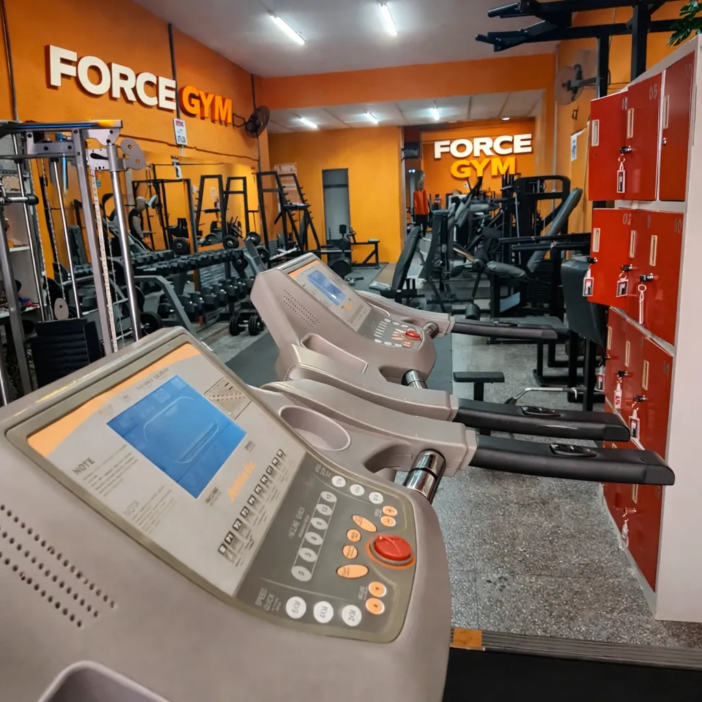 Zona de cardio de ForceGym Montevideo con cintas de correr y elípticas
